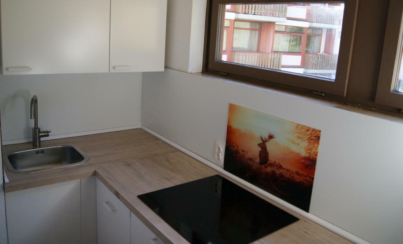 Ferienwohnung Schwarzwaldlust Schluchsee Exteriör bild